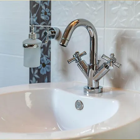 Zum Koi Ii Dg * Zirchow